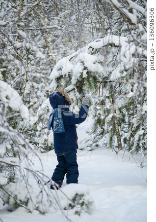 Little boy walking and playing in snowy winter forest. Natural childhood, winter season, outdoor lifestyle, family leisure, exploration and connection with nature. 136096306