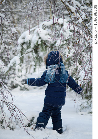 Little boy walking and playing in snowy winter forest. Natural childhood, winter season, outdoor lifestyle, family leisure, exploration and connection with nature. 136096308