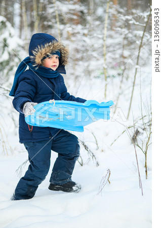 Little boy enjoying winter outdoor fun while sledding in snowy forest. Active childhood, seasonal outdoor recreation, winter adventure, family leisure and healthy lifestyle concept 136096343