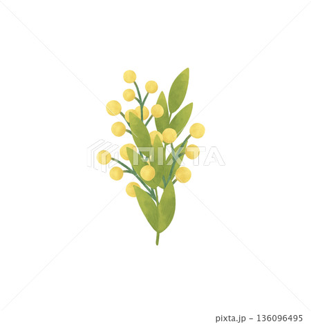 A small bouquet with yellow spring flowers, with twigs, leaves, green blades of grass. Handmade cartoon illustration in flat style. Watercolor, pastel 136096495