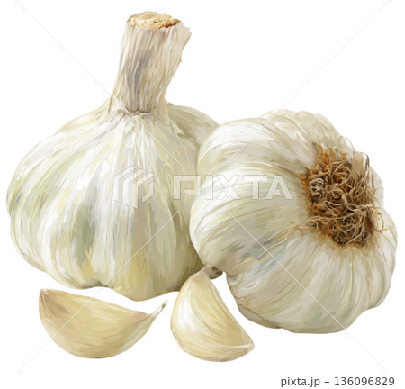 garlic 136096829