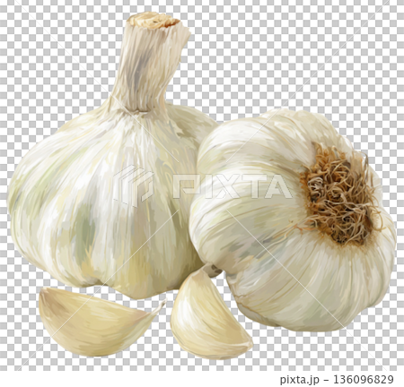 garlic 136096829
