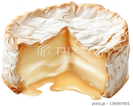 Camembert Cheese 136097001