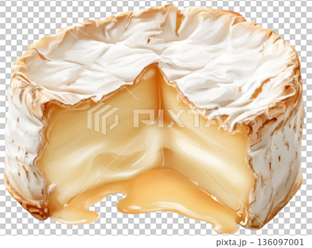 Camembert Cheese 136097001