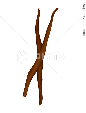 Vanilla pods or stick. Realistic vector design isolated element. Nature spice with drops 136097160