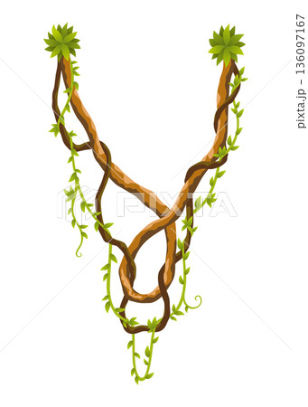 Liana branch. Twisted wild jungle vine plants. Woody natural tropical rainforest, exotic botany element. Vector design element 136097167