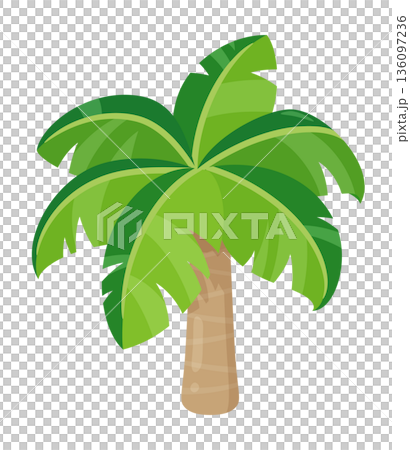 可愛的棕櫚樹插圖 136097236