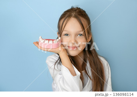 Child holding dental teeth model on blue background. World Oral Health Day concept highlighting oral health awareness, dental education, prevention, and healthy habits from early childhood. Child holding dental teeth model on blue background. World Oral Health Day concept highlighting oral health awareness, dental education, prevention, and healthy habits from early childhood. 136098114