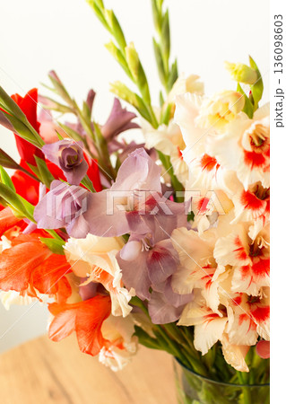 A group of mixed gladiolus flowers in shades of red, white, yellow, and purple stands in a vase. The flowers are fresh and arranged closely, creating a colorful bouquet A group of mixed gladiolus flowers in shades of red, white, yellow, and purple stands in a vase. The flowers are fresh and arranged closely, creating a colorful bouquet 136098603