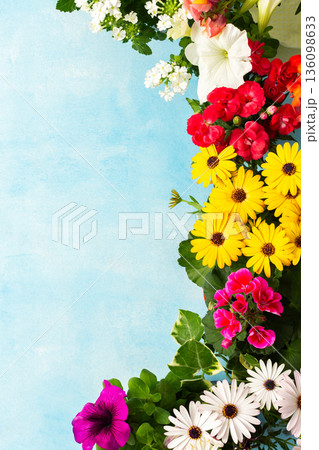 Vibrant spring flowers in various colors adorn a balcony, creating a joyful atmosphere. Seasonal blooms bring life and beauty to the outdoor space, inviting relaxation and enjoyment 136098633