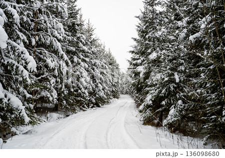 Snow covered forest road in winter with pine trees creating peaceful natural landscape Snow covered forest road in winter with pine trees creating peaceful natural landscape 136098680