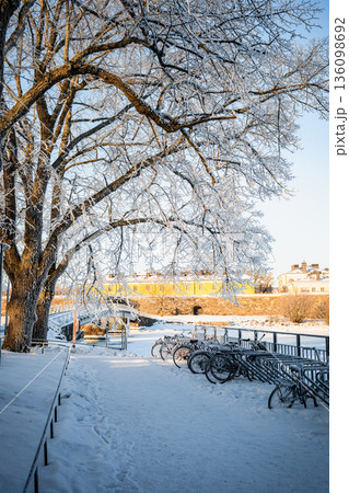 Snowy winter cityscape with bicycles under frosty tree near Finnish fortress in sunlight 136098692