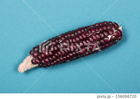 Colorful purple corn on a green background Colorful purple corn on a green background 136098720