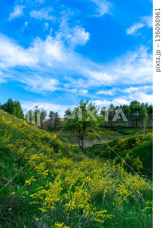 The "Vasylkivski Carpathians" landscape reserve in Ukraine showcases pristine mountain scenery, lush forests, and rich biodiversity. 136098961