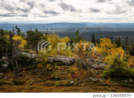 Autumn tundra landscape with rocky hills and colorful forest in Finland under dramatic sky 136098979