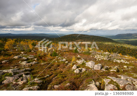 Autumn tundra landscape with rocky hills and colorful forest in Finland under dramatic sky 136098980
