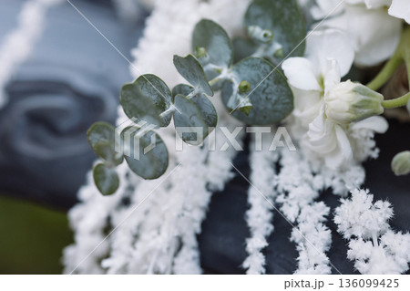 White flower boutonniere with eucalyptus on dark fabric background White flower boutonniere with eucalyptus on dark fabric background 136099425
