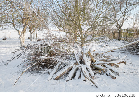 Piles of cut branches after pruning and tidying up the orchard. 136100219