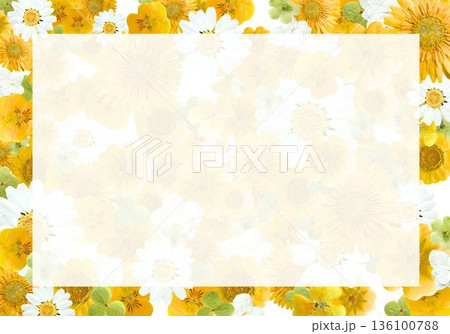 黄色い花のフレーム背景｜春・初夏のチラシや案内に使える明るい余白デザイン（A4横） 136100788