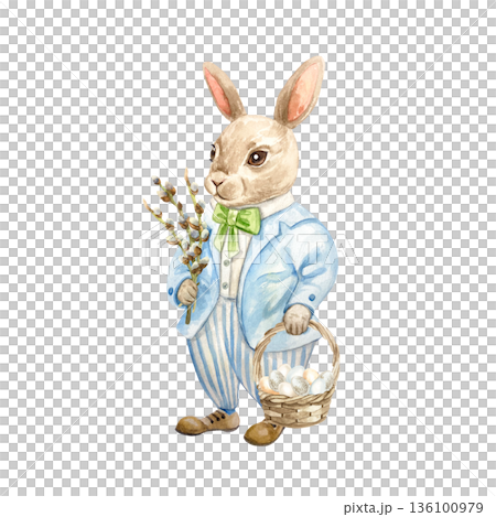 Easter bunny in a suit with willow branches and a basket of eggs. Hand drawn watercolor illustration isolated. Pastel clip art for vintage Easter cards and invitations. Easter bunny in a suit with willow branches and a basket of eggs. Hand drawn watercolor illustration isolated. Pastel clip art for vintage Easter cards and invitations. 136100979