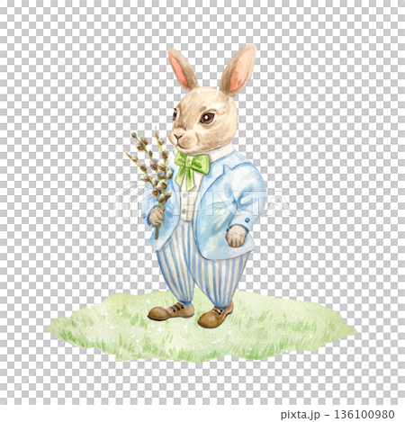 Easter bunny in a suit holding a pussy willow branch. Hand drawn watercolor illustration isolated on white. Pastel clip art for Easter vintage cards and invitations. Suitable for tableware design. Easter bunny in a suit holding a pussy willow branch. Hand drawn watercolor illustration isolated on white. Pastel clip art for Easter vintage cards and invitations. Suitable for tableware design. 136100980