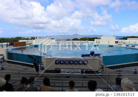 沖縄美ら海水族館イルカショー オキちゃん劇場 沖縄美ら海水族館イルカショー オキちゃん劇場 136101513