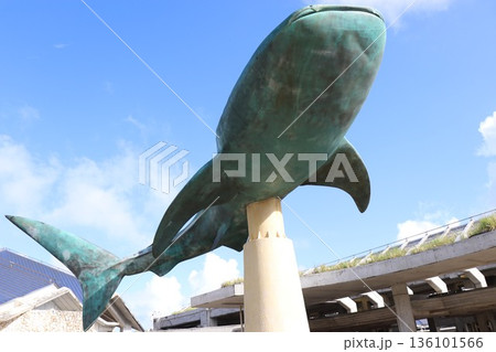 沖縄美ら海水族館、沖縄県 沖縄美ら海水族館、沖縄県 136101566