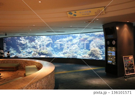 沖縄美ら海水族館、沖縄県 沖縄美ら海水族館、沖縄県 136101571