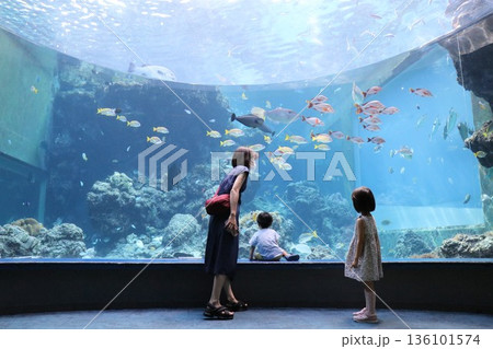沖縄美ら海水族館、沖縄県 136101574