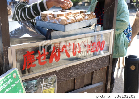 奈良公園で売られている鹿せんべいで、餌やりをする女の子 136102205
