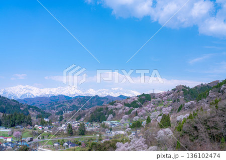 【里山の春】小川村・二反田の桜【長野県】 136102474