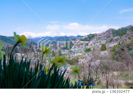 【里山の春】小川村・二反田の桜【長野県】 【里山の春】小川村・二反田の桜【長野県】 136102477