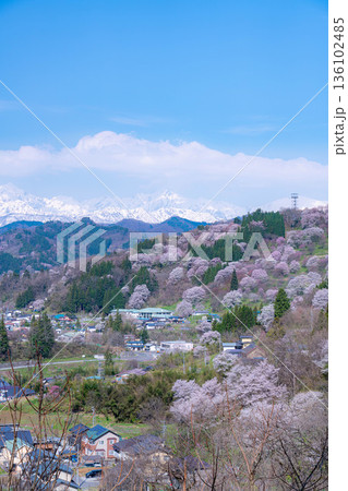 【里山の春】小川村・二反田の桜【長野県】 【里山の春】小川村・二反田の桜【長野県】 136102485