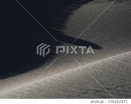 砂紋と影 136102871