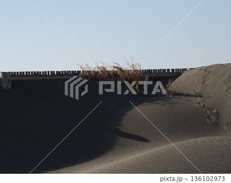 風紋と影 136102973