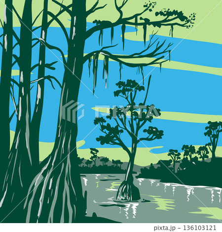 The Apalachicola National Forest in Florida WPA Poster Art The Apalachicola National Forest in Florida WPA Poster Art 136103121