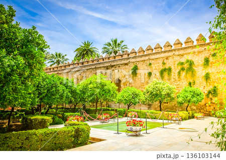 Cortyard at the Alcazar of Cordoba, Spain 136103144
