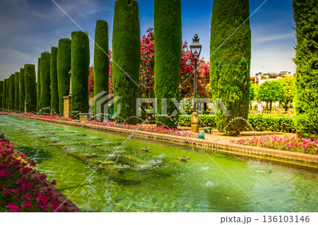 Gardens at the Alcazar in Cordoba, Spain Gardens at the Alcazar in Cordoba, Spain 136103146