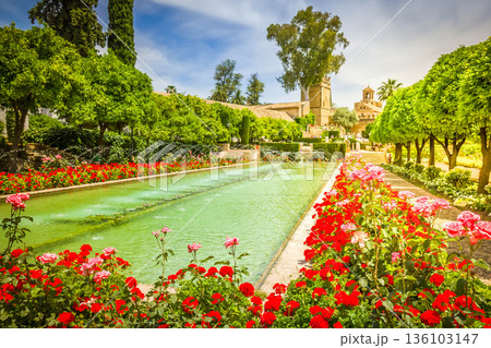 Gardens at the Alcazar, Cordoba, Spain 136103147