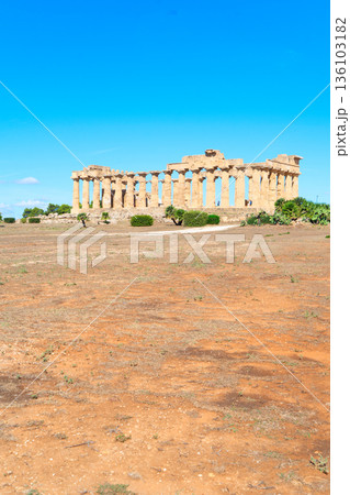 Selinunte site with ancient greek ruins, Sicily Selinunte site with ancient greek ruins, Sicily 136103182