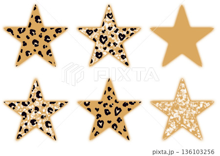 ギャルな茶色のヒョウ柄の星 136103256