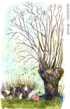 Illustration of Pollarded Trees and Red Barn 136103259