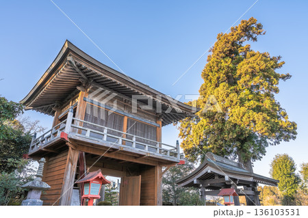 赤城山長命寺 山門と杉の大木 朝の境内風景 赤城山長命寺 山門と杉の大木 朝の境内風景 136103531