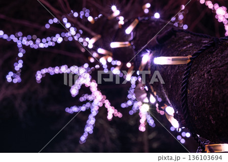 おおがわら桜イルミネーション 玉ボケが輝く幻想的な夜 おおがわら桜イルミネーション 玉ボケが輝く幻想的な夜 136103694