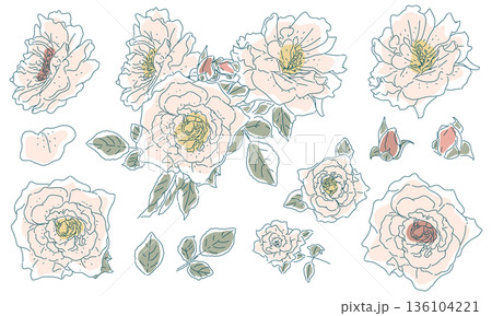 ラフな薔薇の花のスケッチ素材セット 136104221