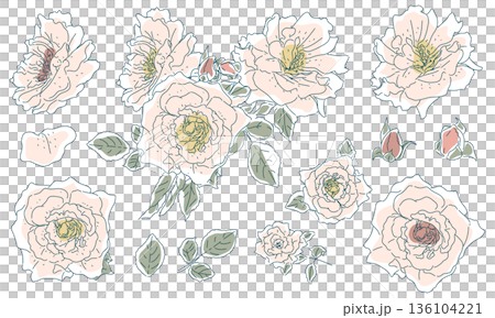 ラフな薔薇の花のスケッチ素材セット 136104221