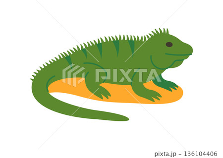 Green iguana on sand. Vector reptile illustration for tropical and wildlife concepts 136104406