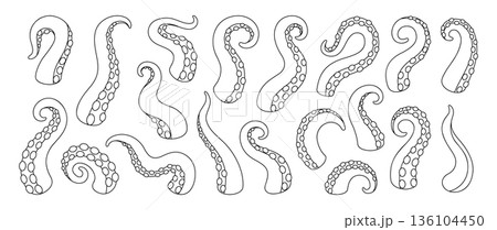 Cartoon octopus tentacles with suction cups....のイラスト素材 [136104450] - PIXTA