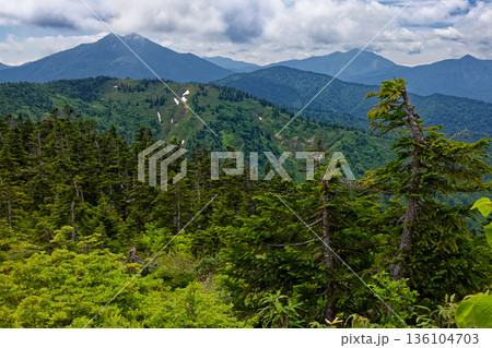 大津岐峠への登山道から見る燧ヶ岳と至仏山 大津岐峠への登山道から見る燧ヶ岳と至仏山 136104703