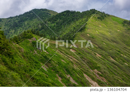 大津岐峠への登山道から振り返る会津駒ヶ岳と駒の小屋 大津岐峠への登山道から振り返る会津駒ヶ岳と駒の小屋 136104704